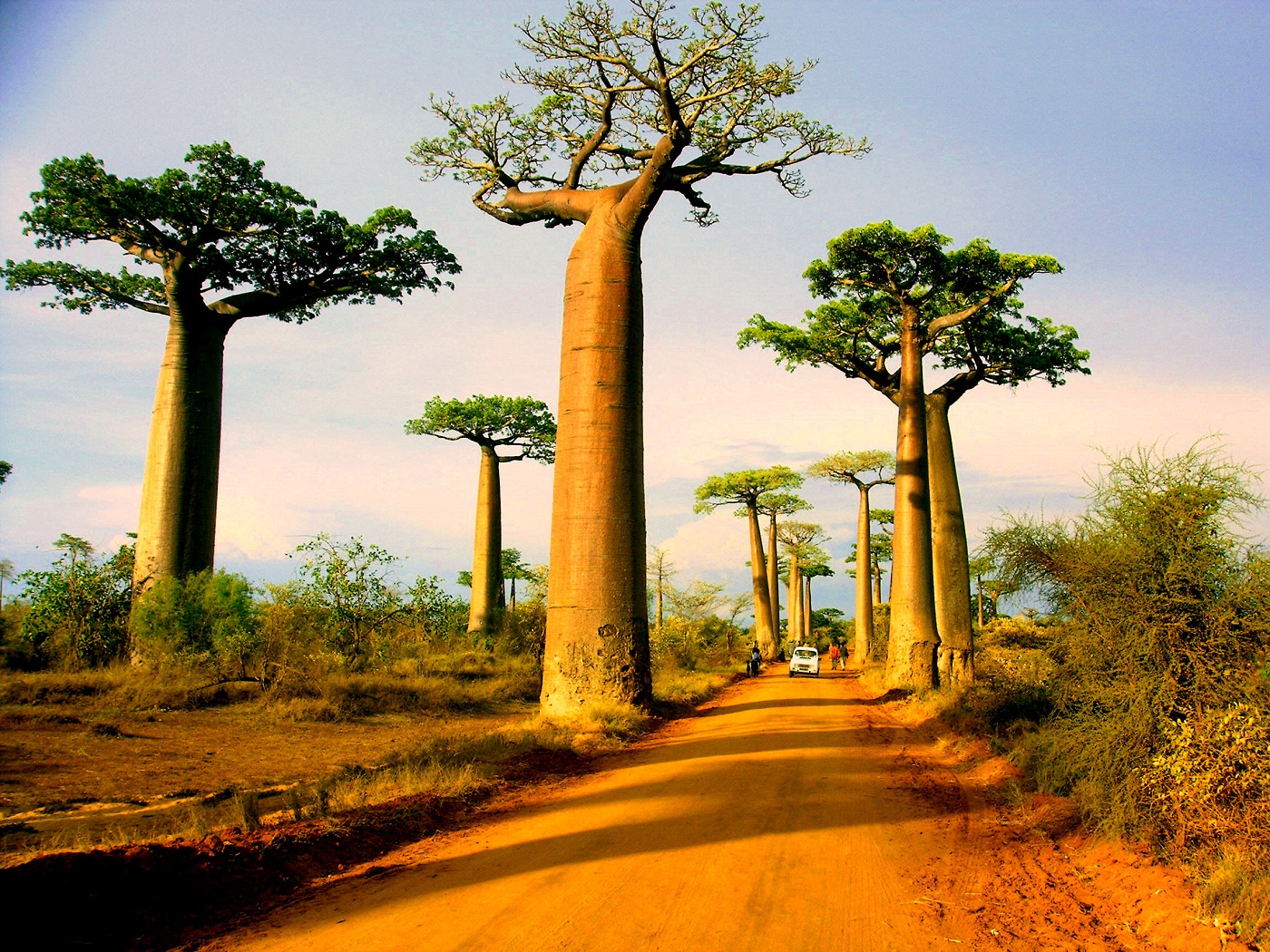 Nhung-trai-nghiem-cuc-ky-thu-vi-khong-nen-bo-lo-khi-di-du-lich-Madagascar-3.jpg