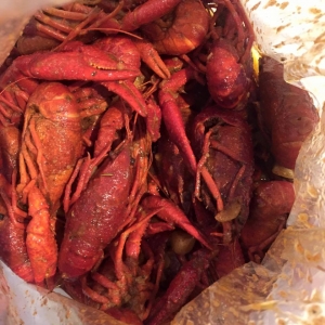 crawfish 07.jpg