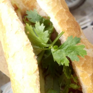 banh mi 2.jpg