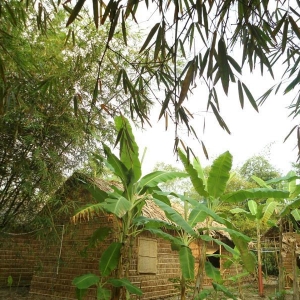 green_village_homestay55f1fee217491.jpg