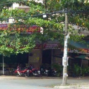 Hồng Hạnh Cafe - Nhạc Trẻ.jpg