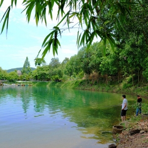 Hồ Phú Ninh 2.jpg