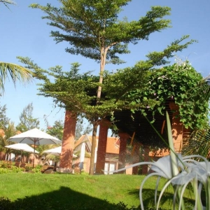 bau_truc_resort55f6eacd0a1ae.jpg