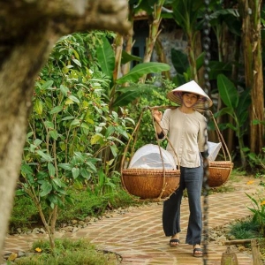 tam coc5.jpg