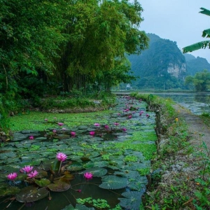 tam coc6.jpg