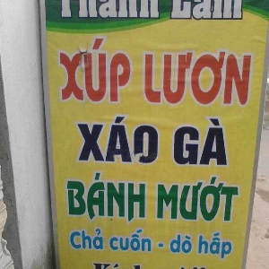 Thanh Lam7.jpg