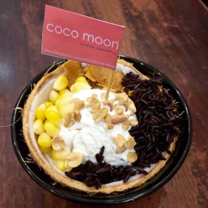 Coco moon3.JPG