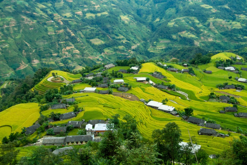 Hoàng Su Phì
