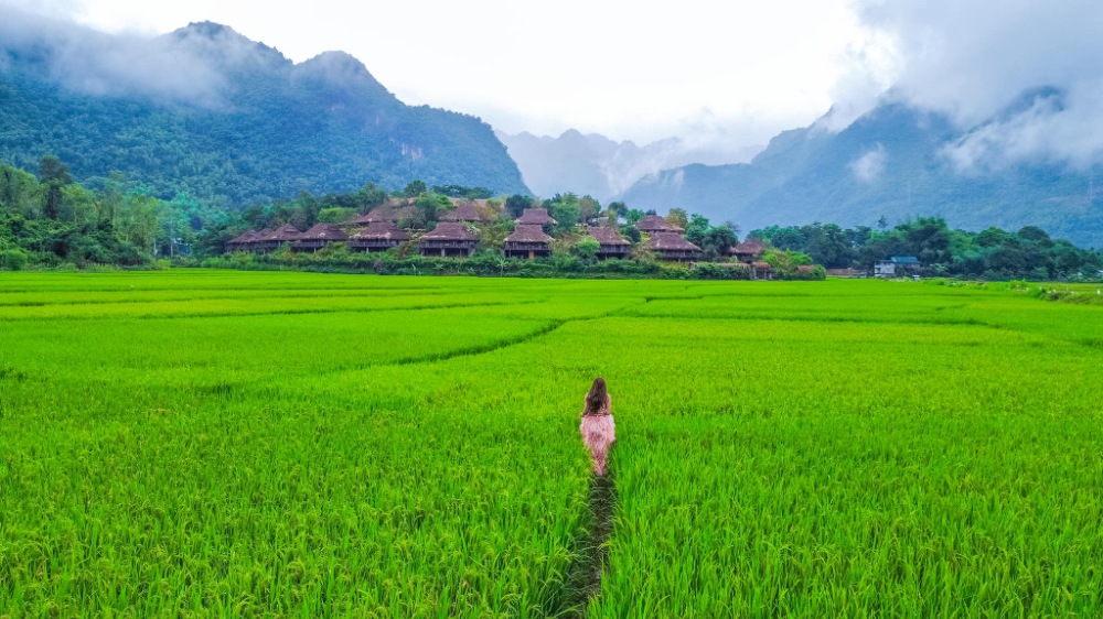 Thung lũng Mai Châu