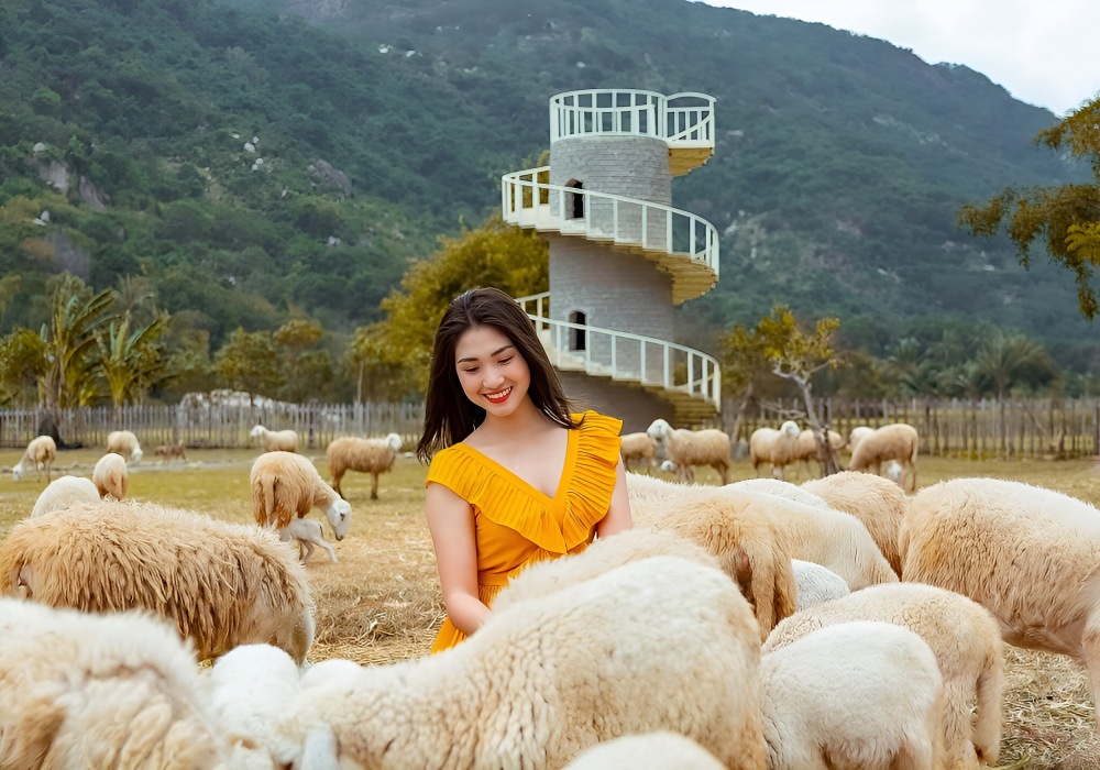 Trại Cừu Yên Thành