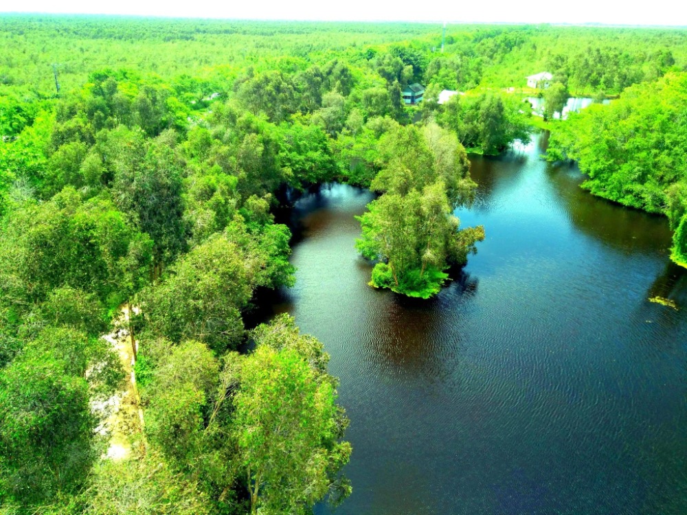 Vườn Quốc Gia U Minh Thượng