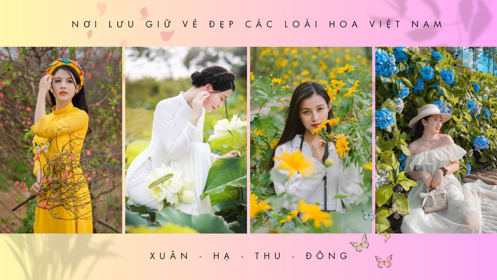 Hoa Đẹp Bốn Mùa