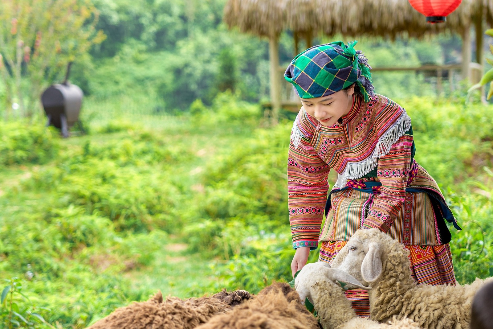 Thào Thị Dở - Kỷ niệm 7.2024 — ảnh 4