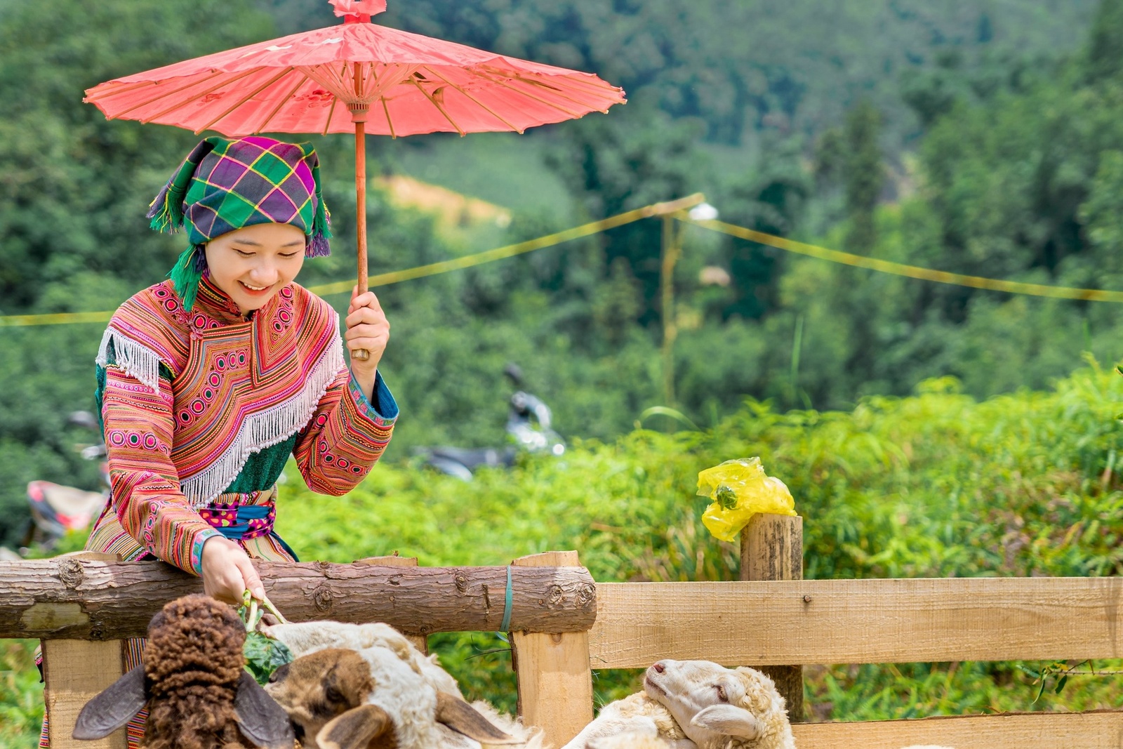 Thào Thị Dở - Kỷ niệm 7.2024 — ảnh 5