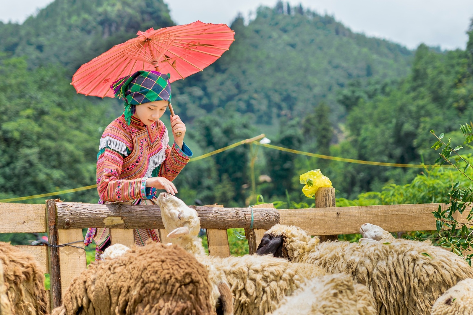 Thào Thị Dở - Kỷ niệm 7.2024 — ảnh 6