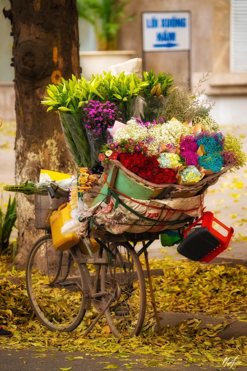 Phố Phan Đình Phùng — ảnh 1