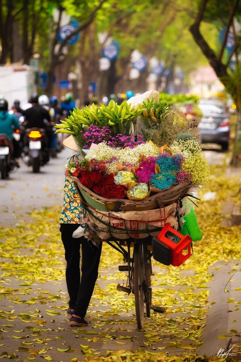 Phố Phan Đình Phùng — ảnh 7