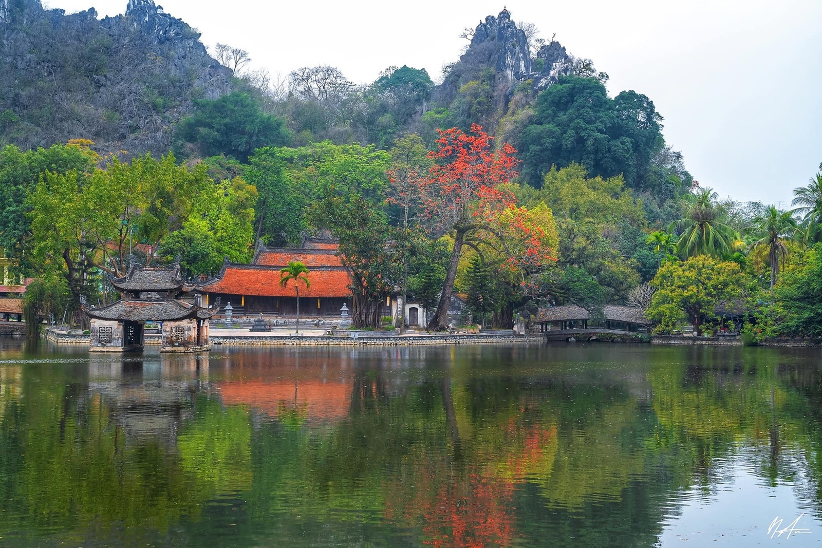 Hoa gạo tháng 3 — ảnh 2