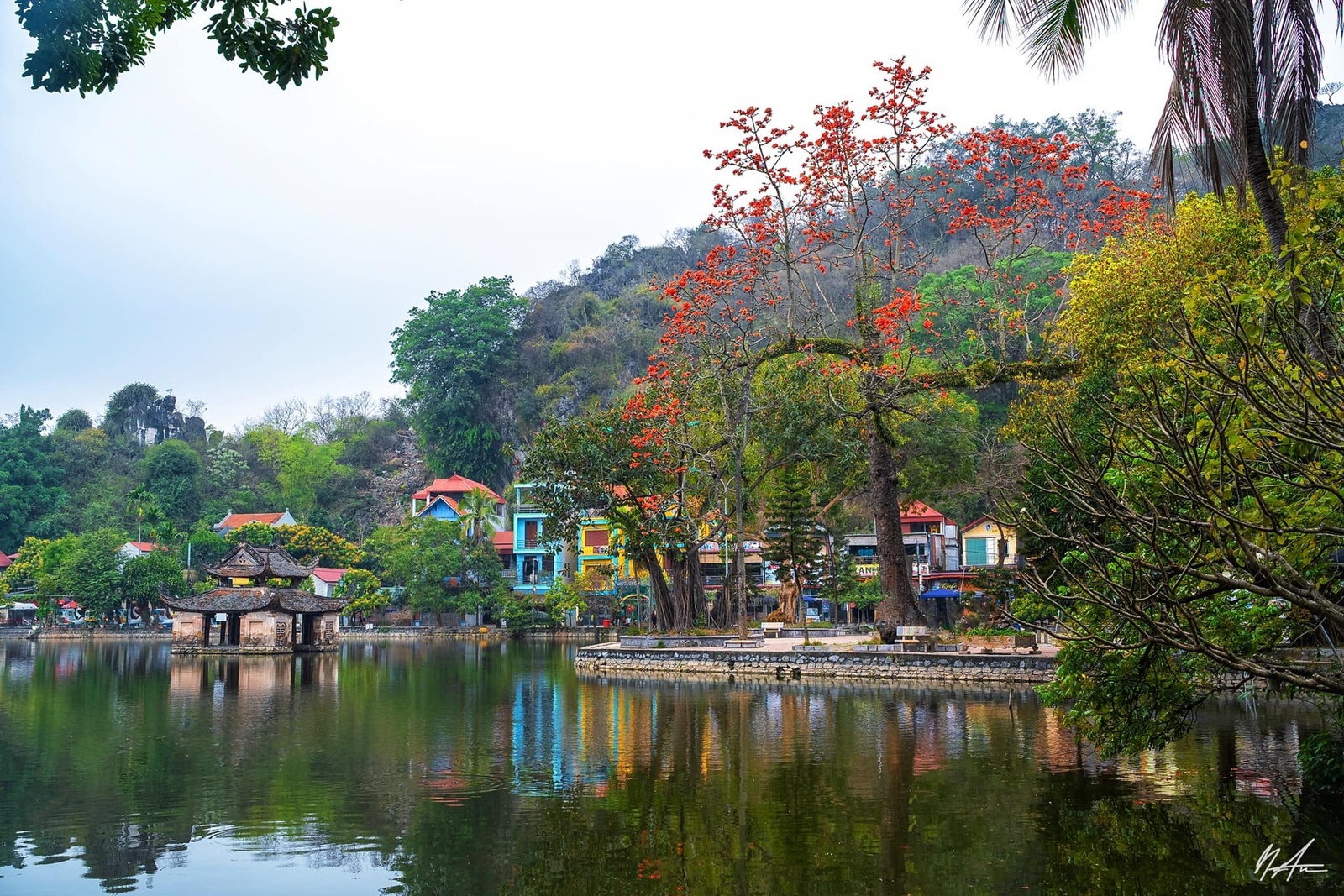 Hoa gạo tháng 3 — ảnh 4