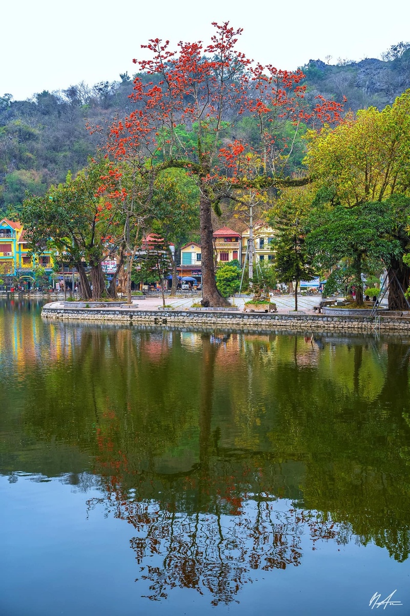 Hoa gạo tháng 3 — ảnh 5