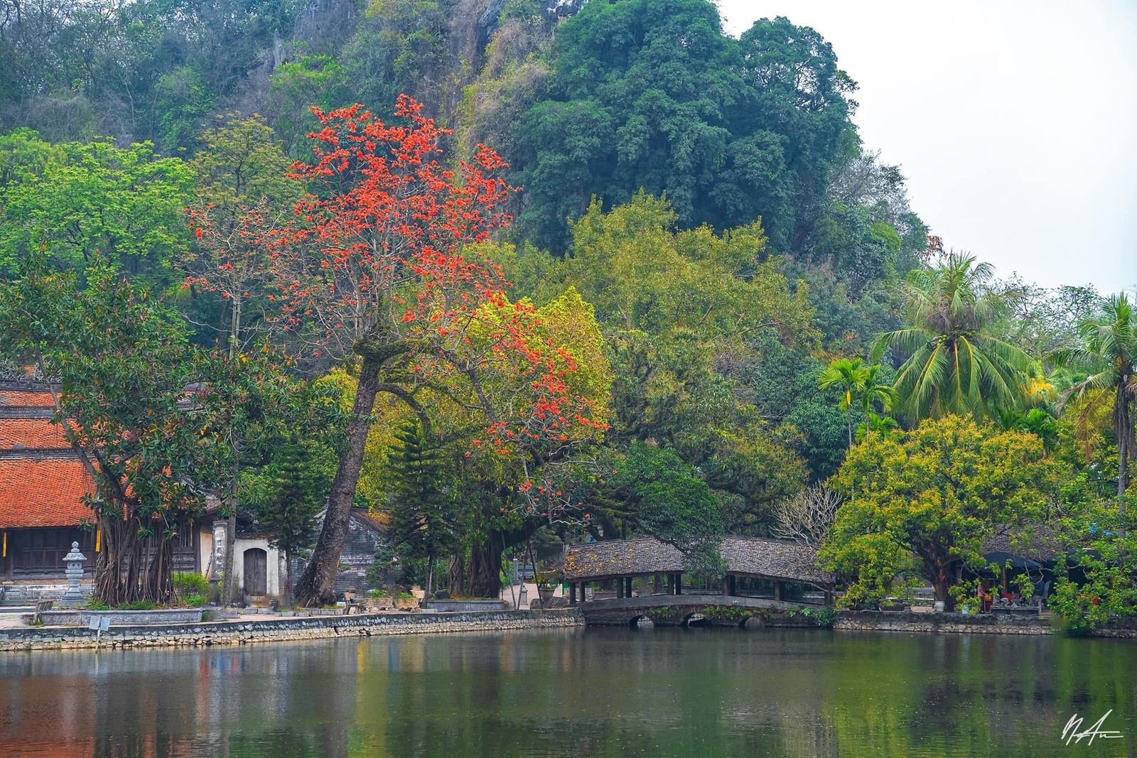 Hoa gạo tháng 3 — ảnh 7