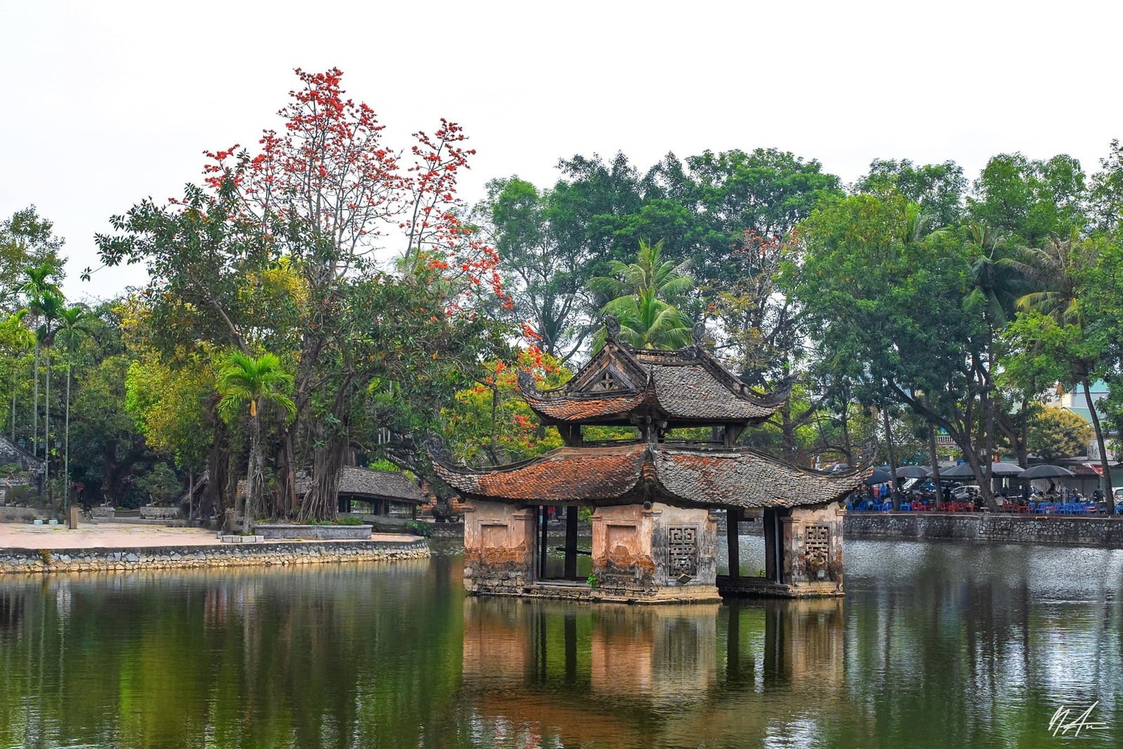 Hoa gạo tháng 3 — ảnh 9
