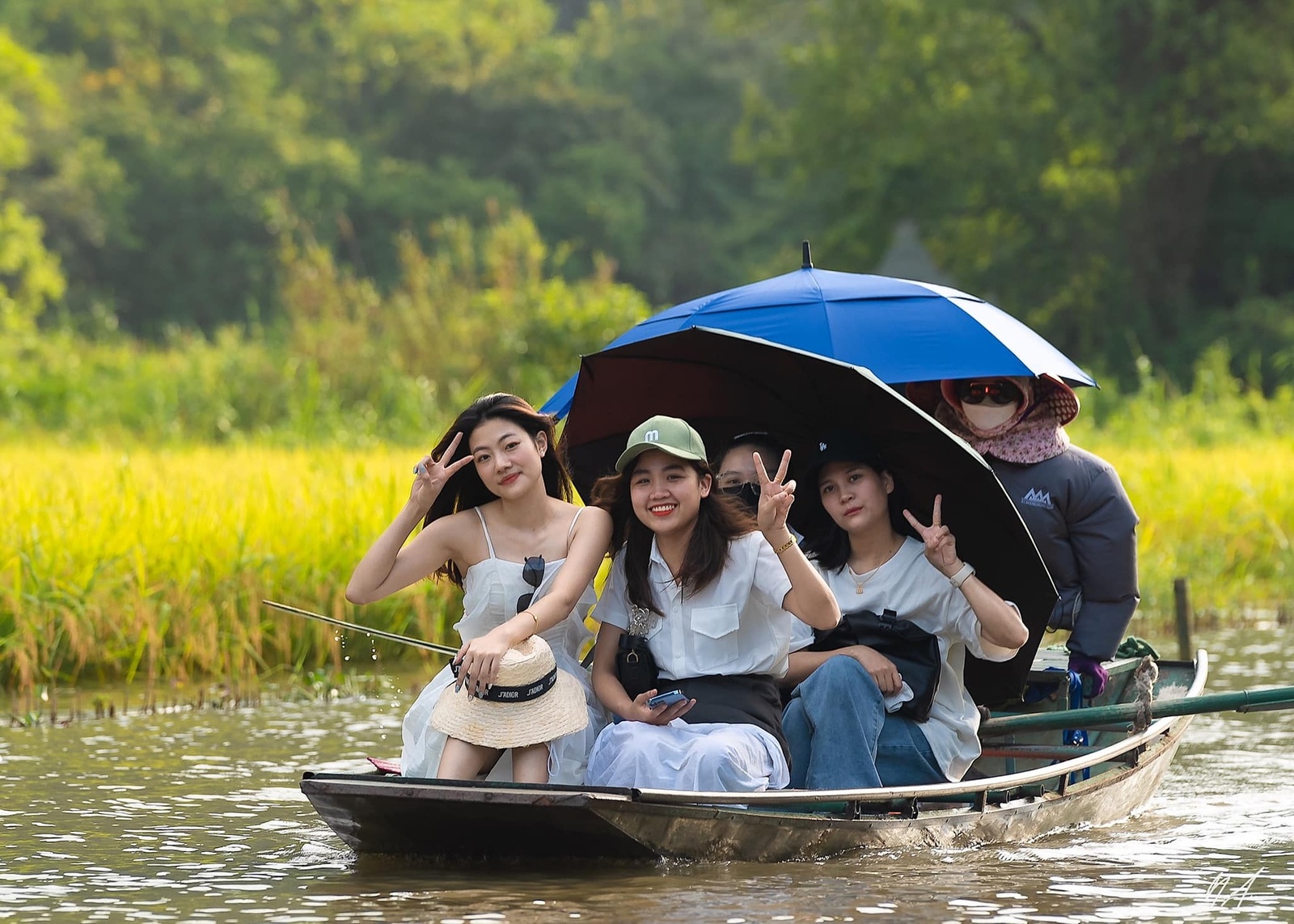 Tam Cốc Mùa Lúa Chín — ảnh 7