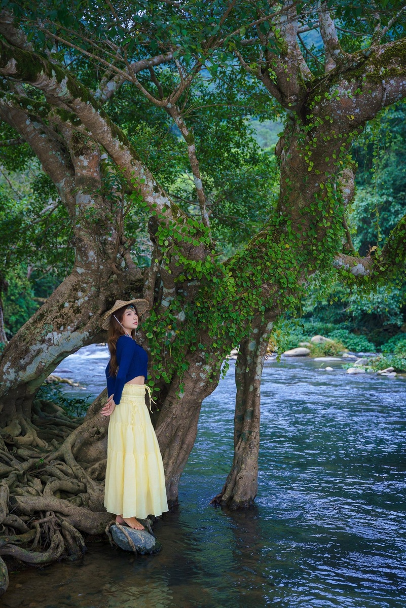 Nguyễn Phương Thảo - Kỷ niệm 12.2025 — ảnh 6