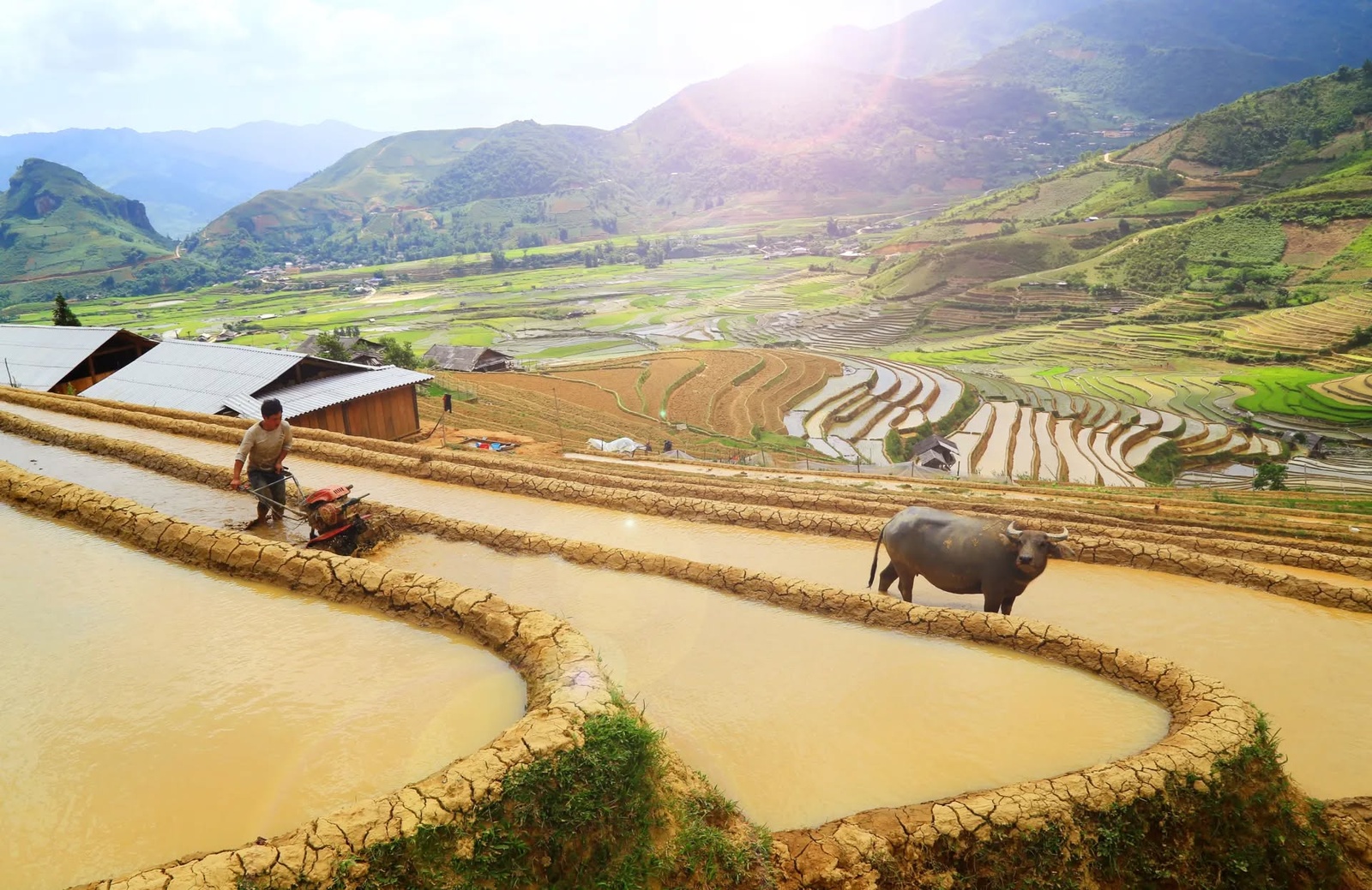 Mù Cang Chải Mùa Nước Đổ — ảnh 11