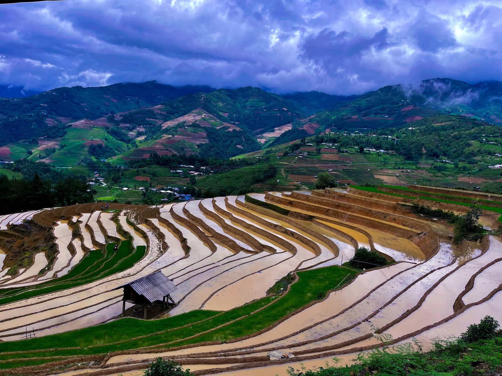 Mù Cang Chải Mùa Nước Đổ — ảnh 16