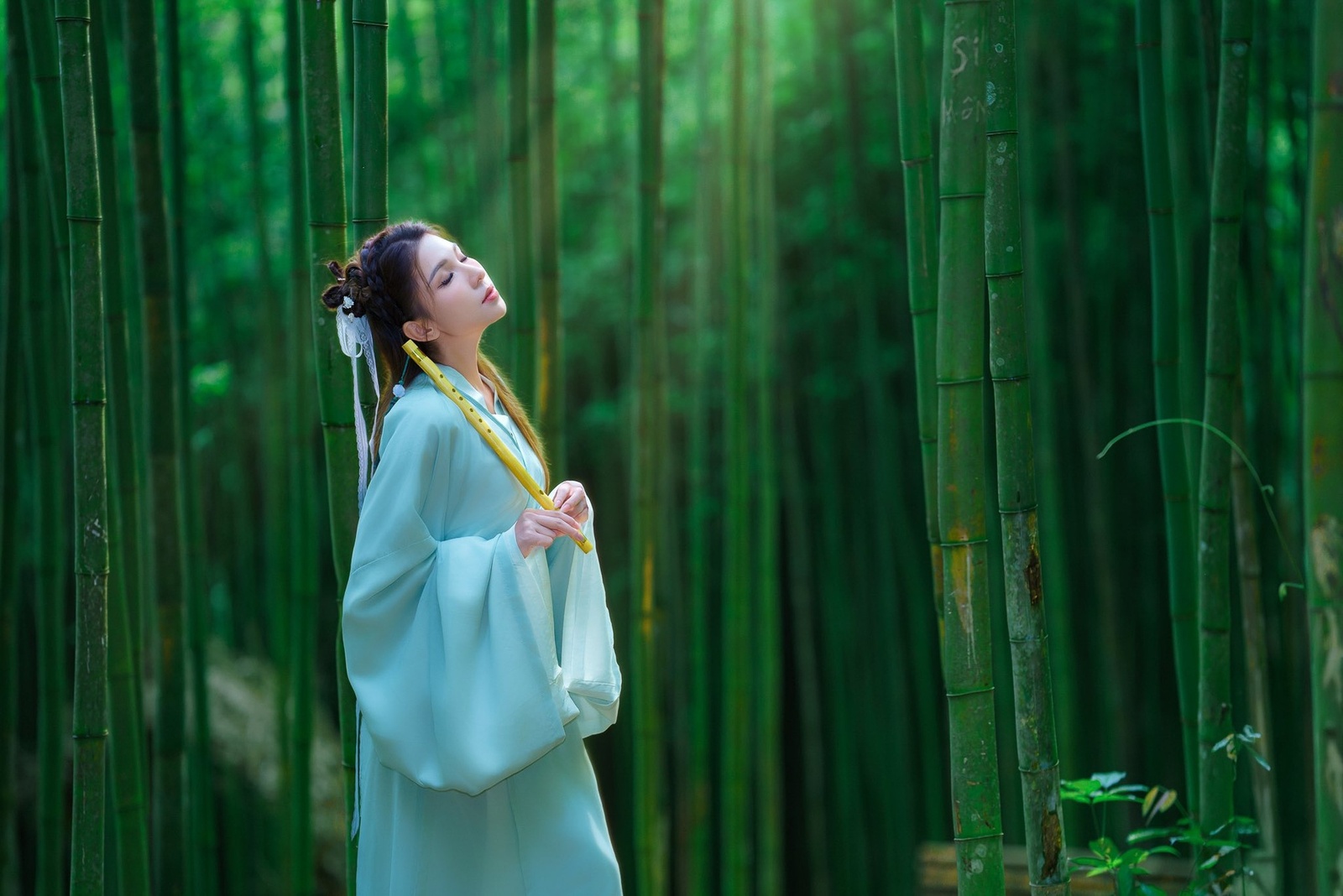 Rừng Trúc Mù Cang Chải — ảnh 2