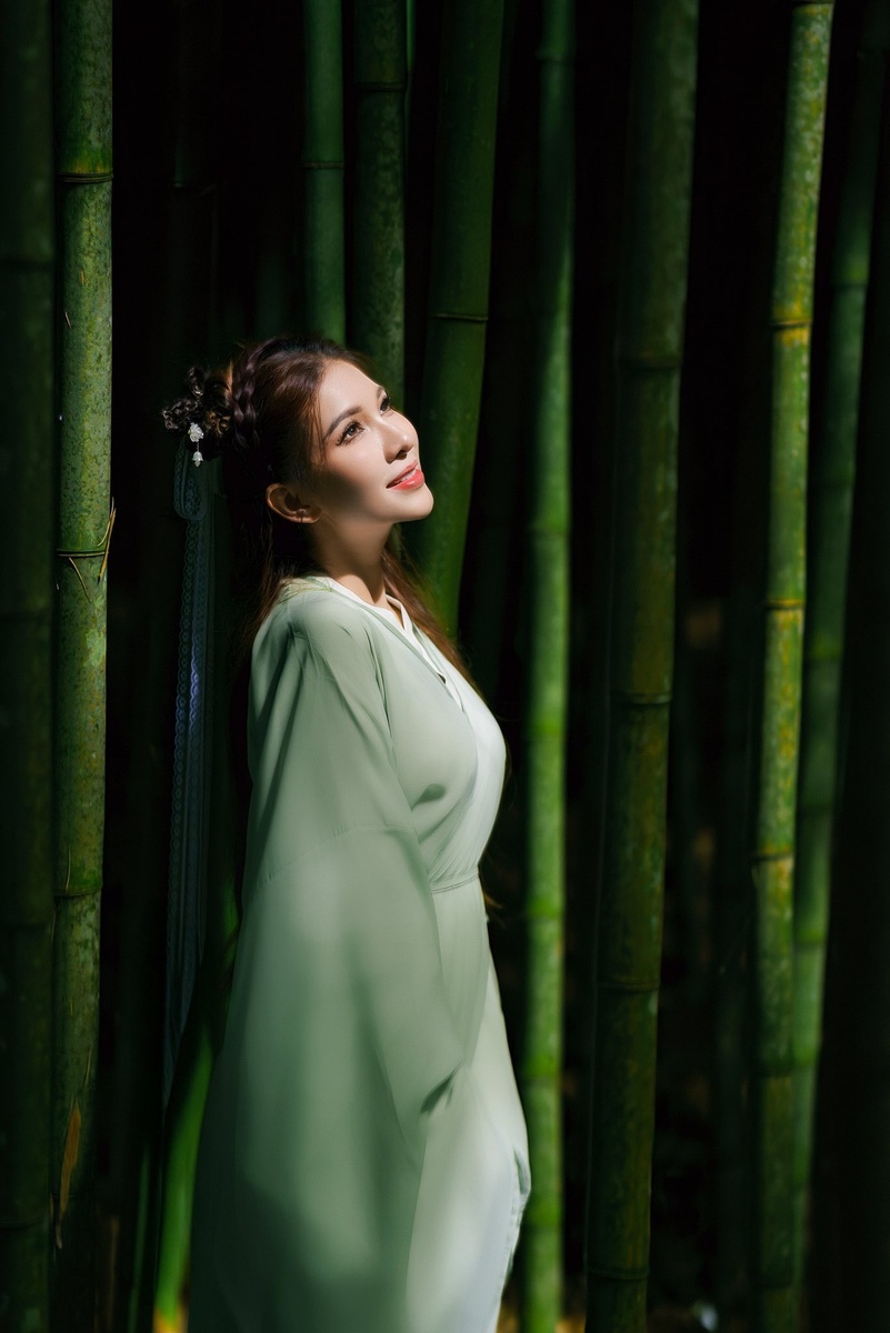 Rừng Trúc Mù Cang Chải — ảnh 4