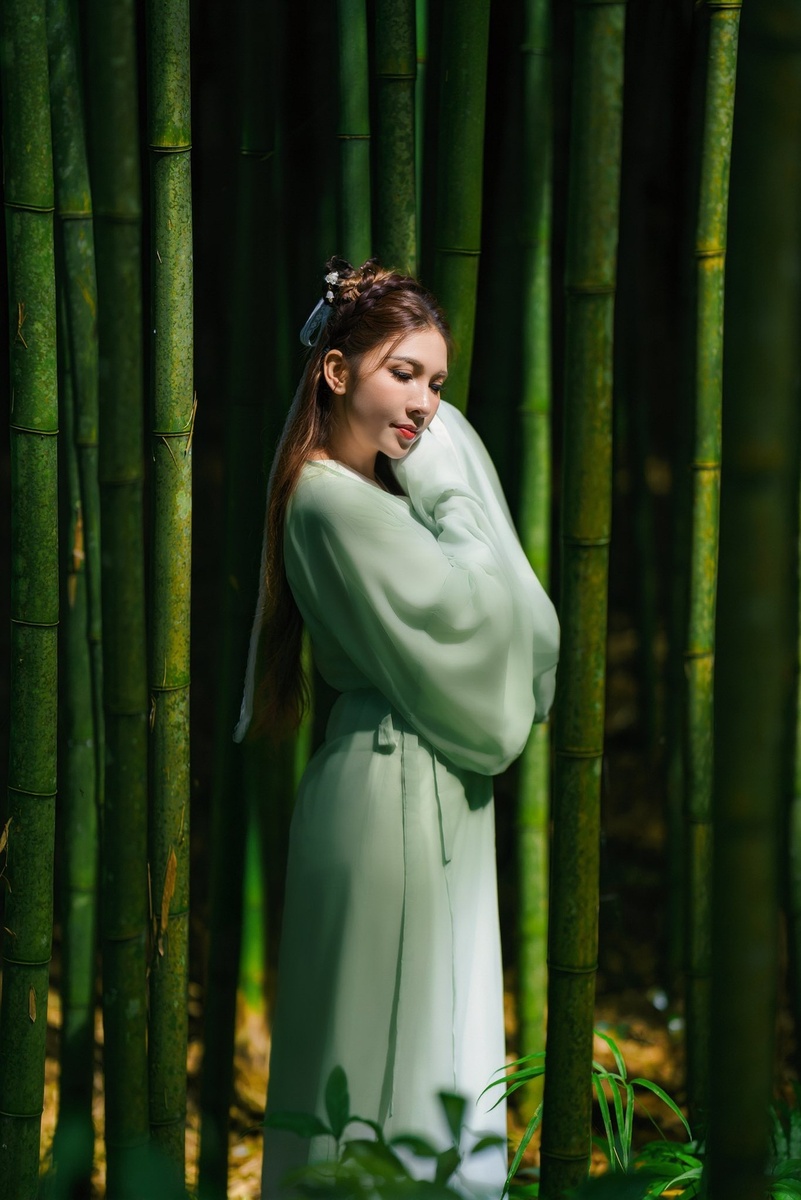 Rừng Trúc Mù Cang Chải — ảnh 11