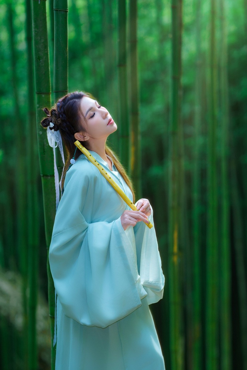 Rừng Trúc Mù Cang Chải — ảnh 12