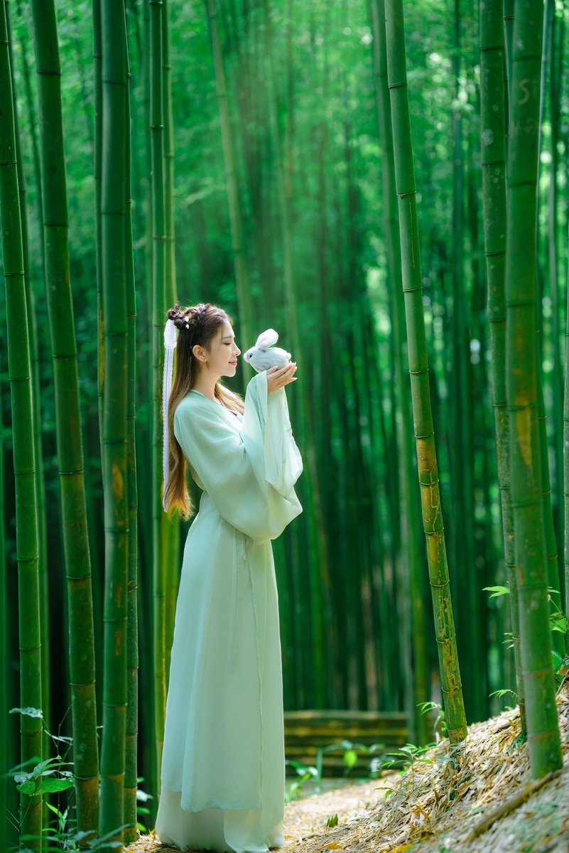 Rừng Trúc Mù Cang Chải — ảnh 13