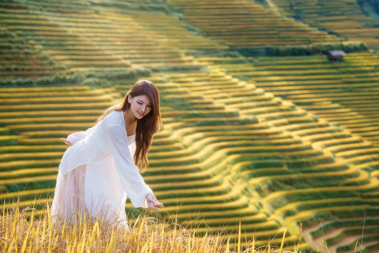 Kim Nọi Mù Cang Chải — ảnh 4