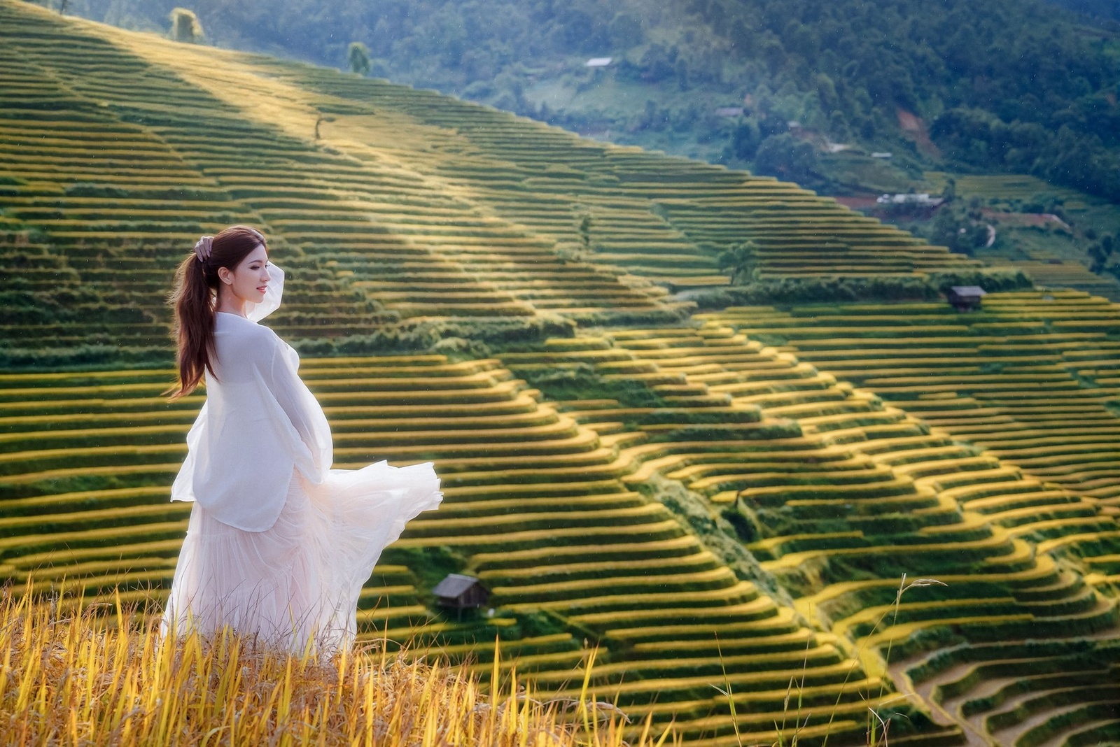 Kim Nọi Mù Cang Chải — ảnh 11