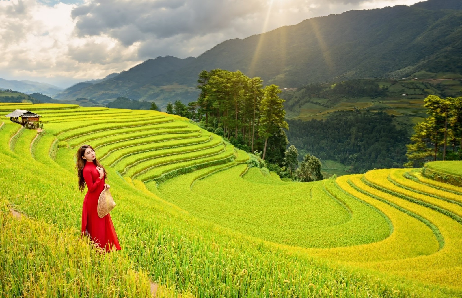 Vành Móng Ngựa Mù Cang Chải — ảnh 3