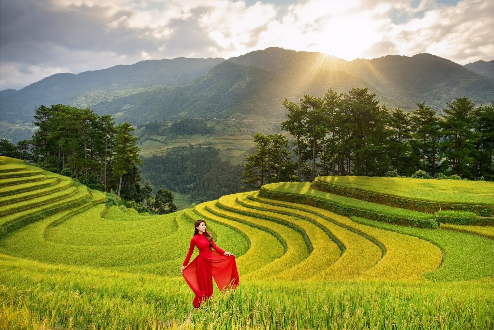 Vành Móng Ngựa Mù Cang Chải — ảnh 5