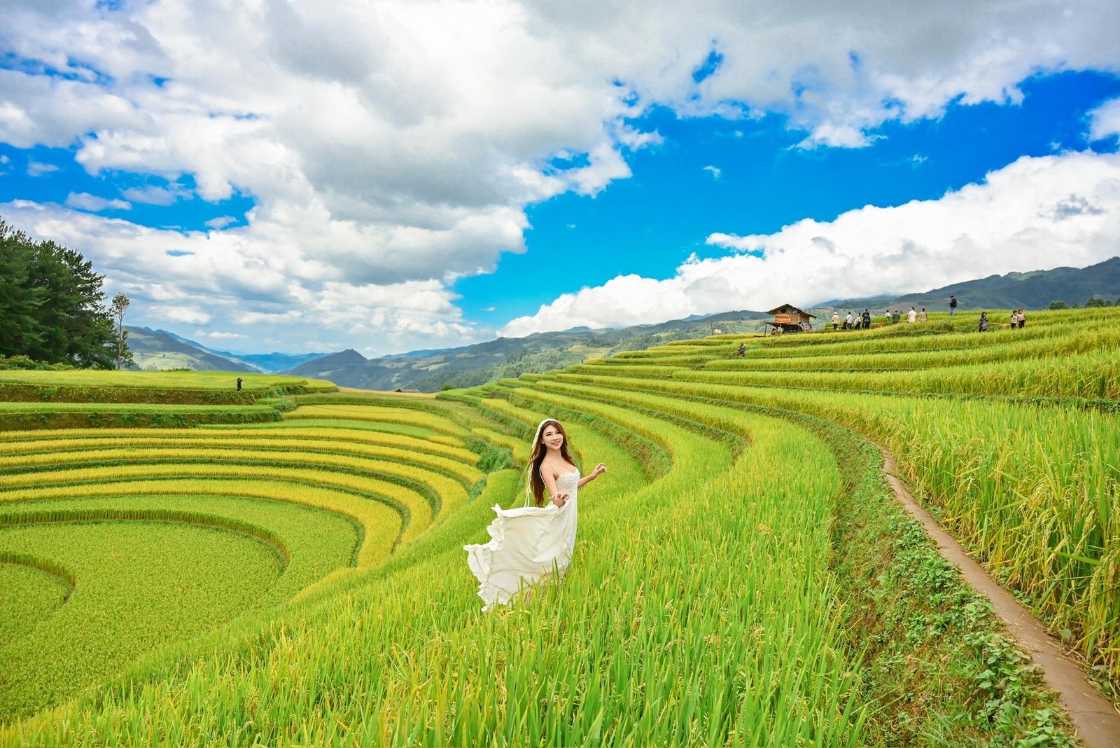 Vành Móng Ngựa Mù Cang Chải — ảnh 8