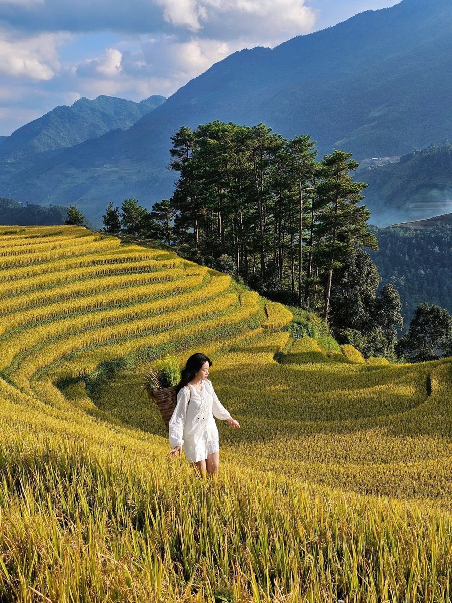 Lê Hồng - Kỷ niệm 10.2025 — ảnh 3