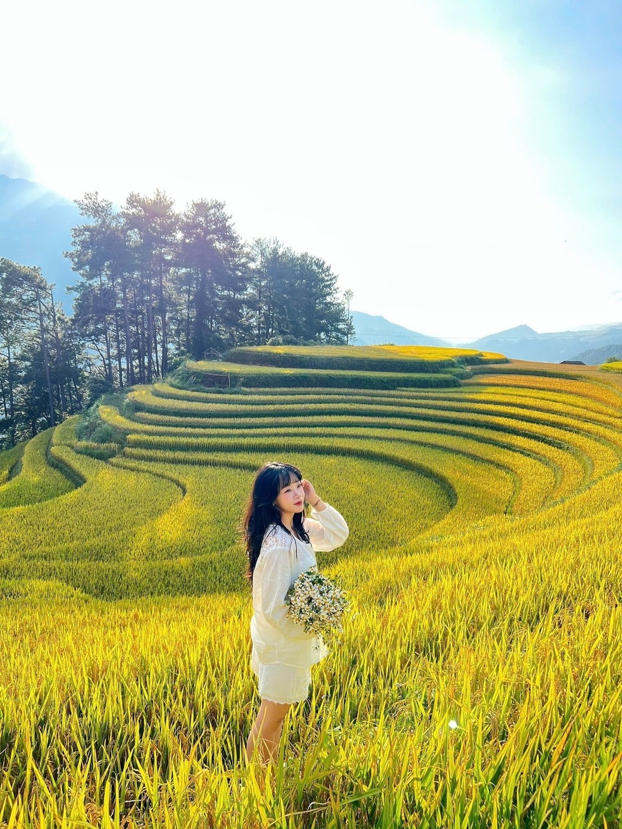 Lê Hồng - Kỷ niệm 10.2025 — ảnh 4