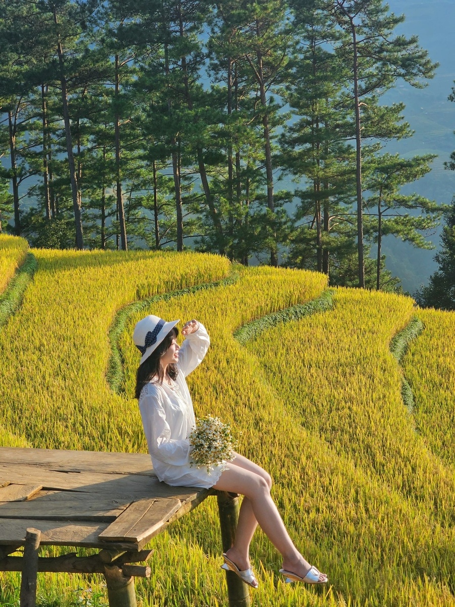 Lê Hồng - Kỷ niệm 10.2025 — ảnh 6