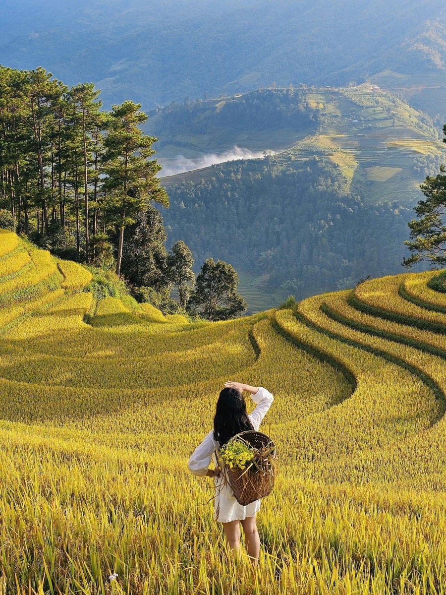 Lê Hồng - Kỷ niệm 10.2025 — ảnh 7