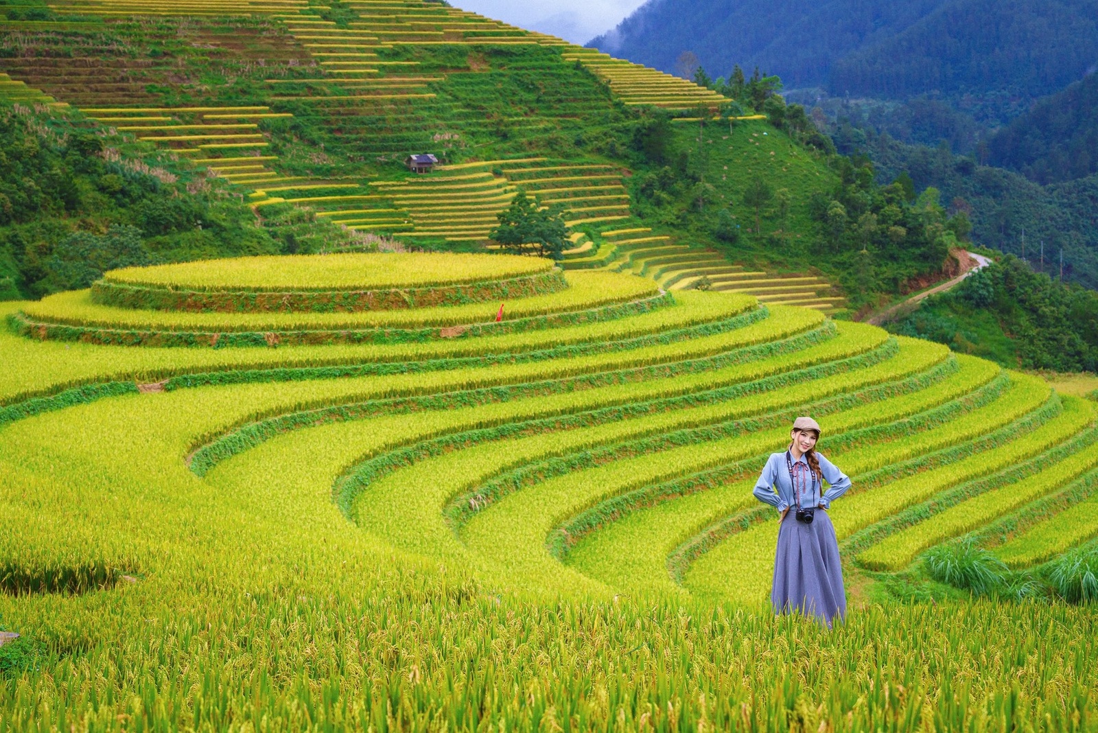 Nguyễn Phương Thảo - Kỷ niệm 10.2025 — ảnh 2