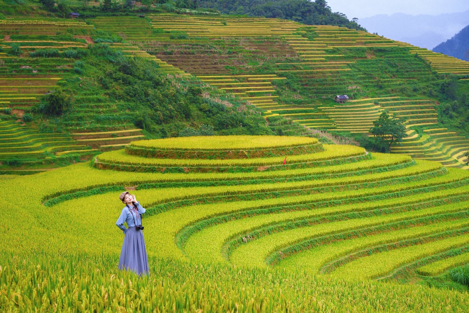 Nguyễn Phương Thảo - Kỷ niệm 10.2025 — ảnh 8