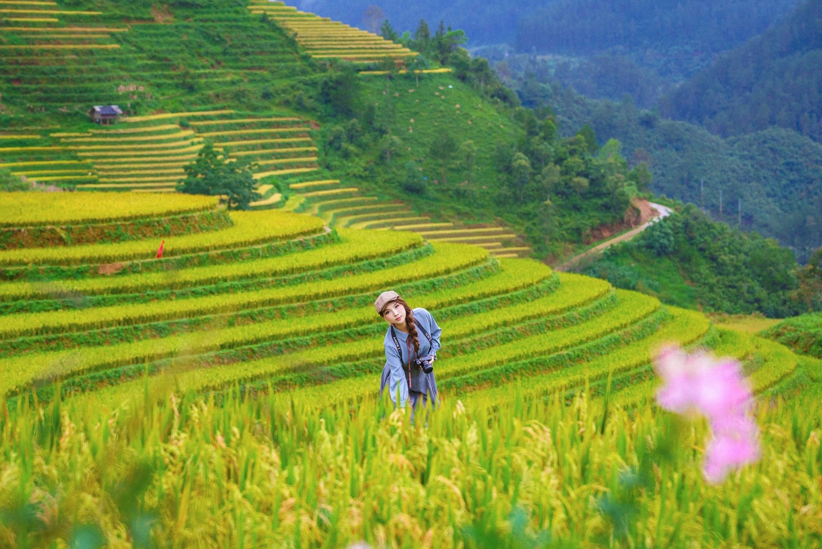 Nguyễn Phương Thảo - Kỷ niệm 10.2025 — ảnh 16