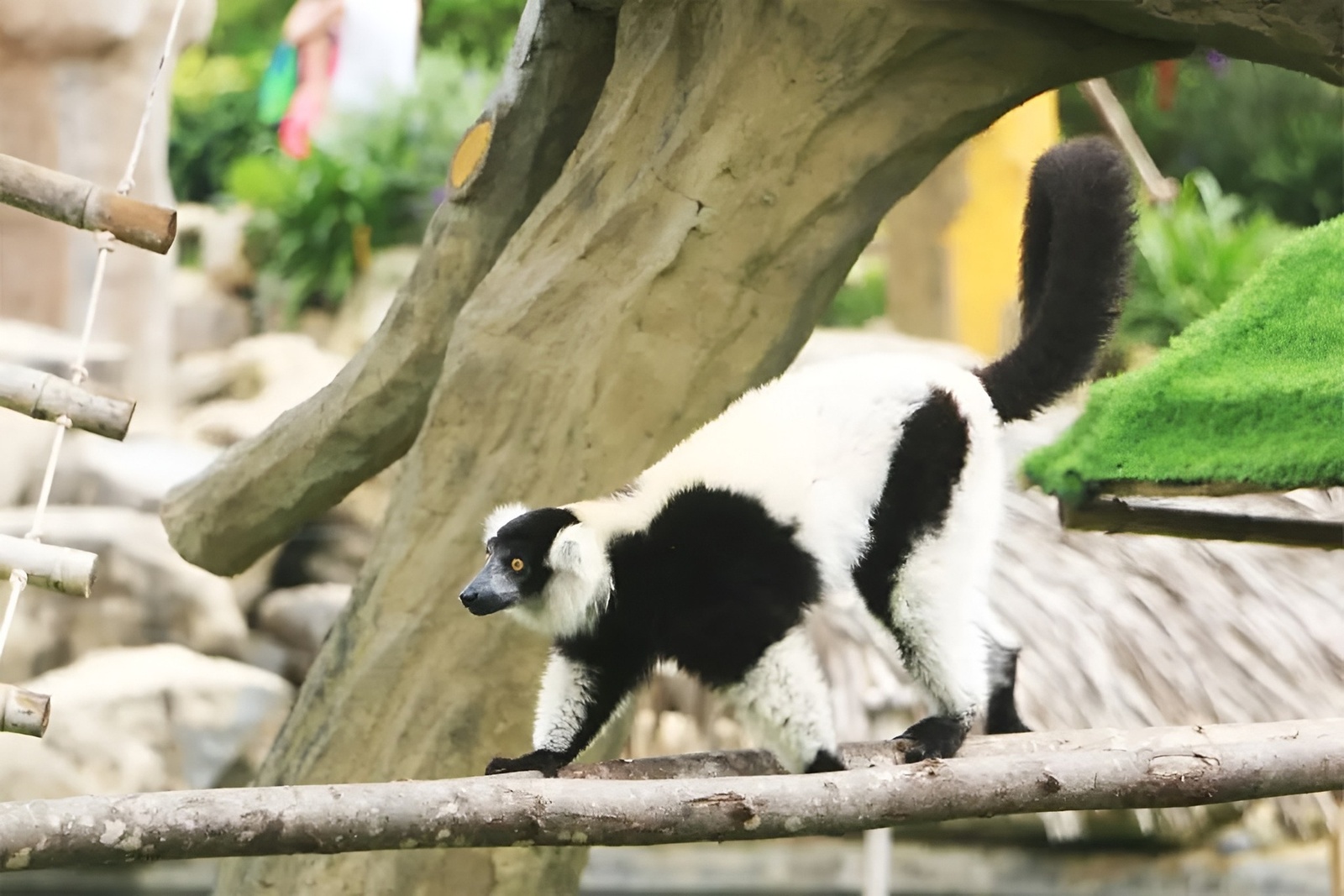 Vườn Quý Vương - Vườn Thú — ảnh 3
