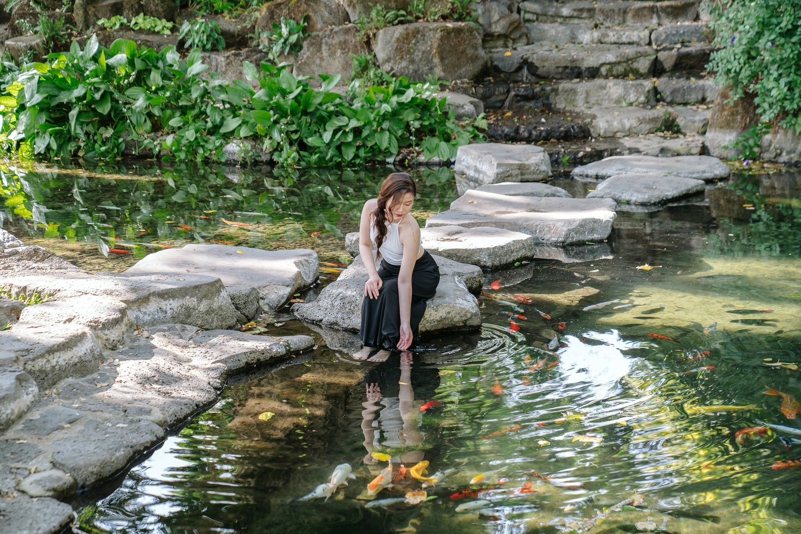 Giới thiệu — ảnh 5