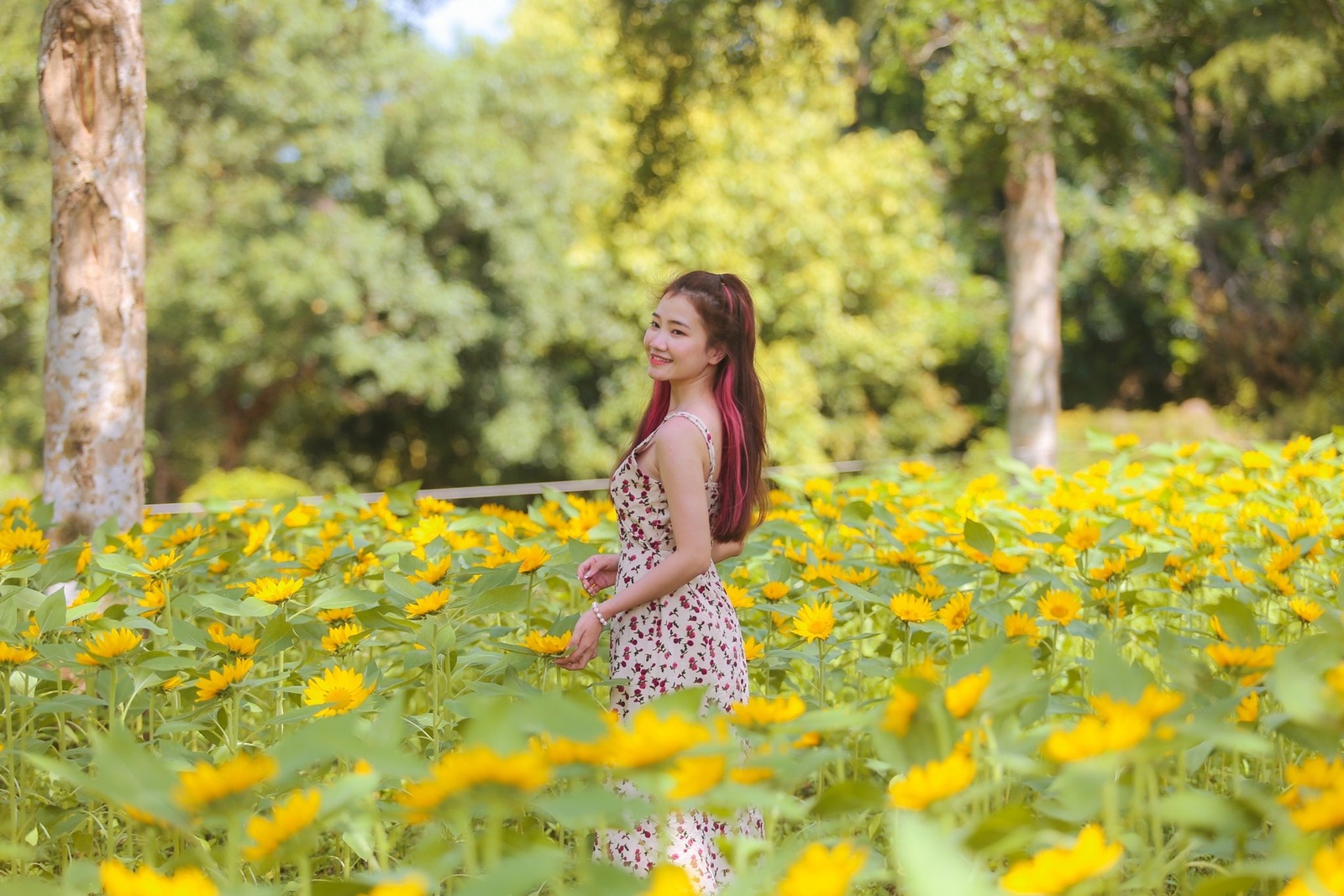Giới thiệu — ảnh 14